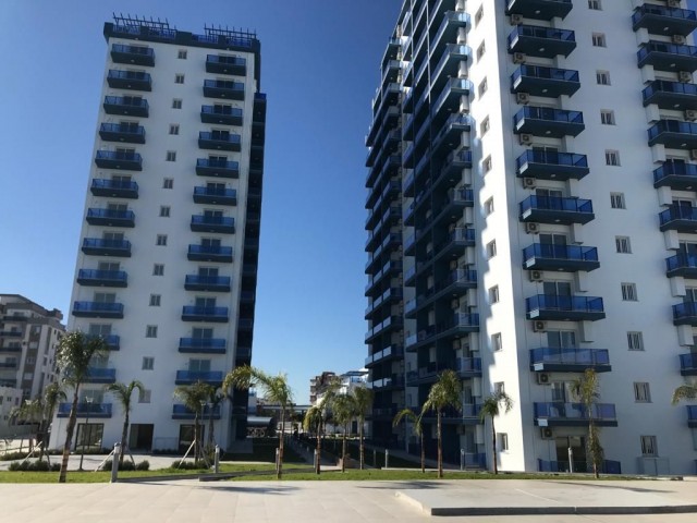 Furnished Studio flat for rent  on Longbeach Royal sun 