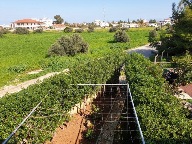 Halb freistehend Kaufen in Yeni Boğaziçi, Famagusta