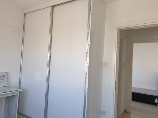 kiralık 2+1   eşyalı daire  salamis yolunda