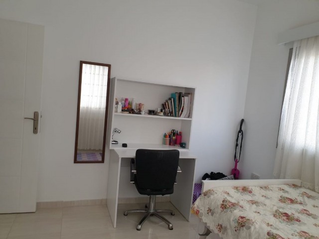 kiralık 1+1 daire eşyalı  mağusa gülseren