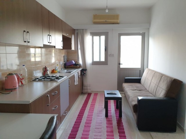 kiralık 1+1 daire eşyalı  mağusa gülseren