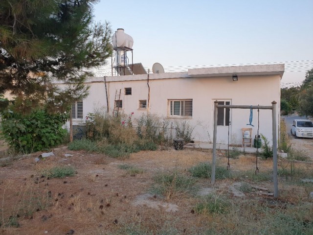 3+1 detached one-storey garden house for sale in famagusta çayrovada ** 