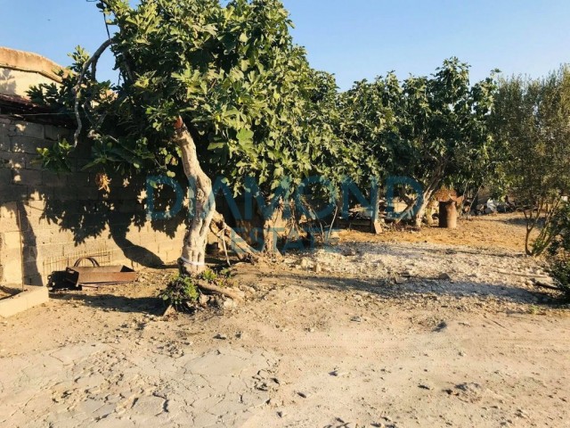 خانه مستقل برای فروش in İskele Merkez, ایسکله