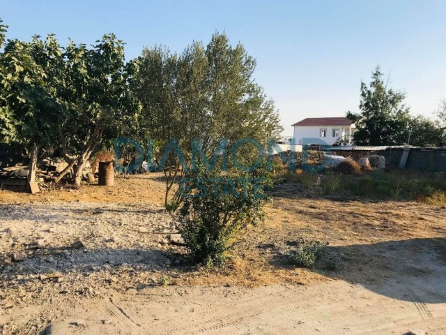 Detached House For Sale in İskele Merkez, Iskele