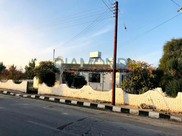 Einfamilienhaus Mieten in İskele Merkez, Iskele