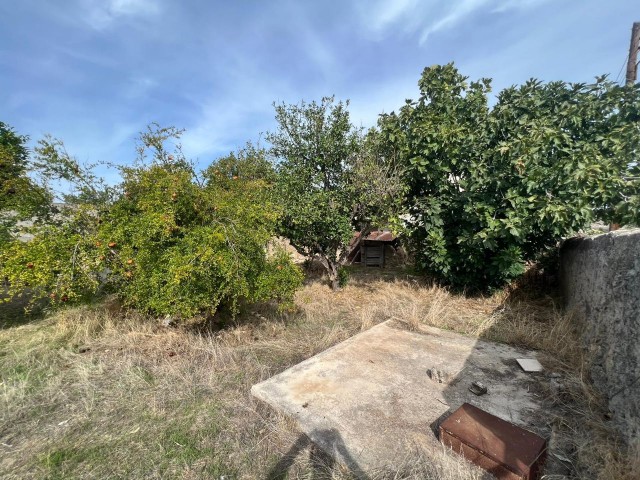 Detached House For Sale in Akova, Famagusta