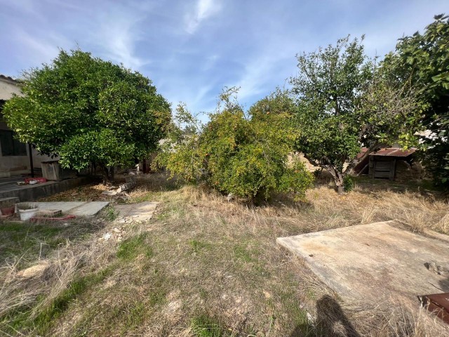 Einfamilienhaus Kaufen in Akova, Famagusta