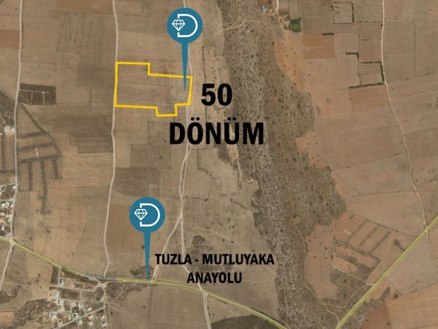 Tuzla-Mutluyaka, Mağusa'da Satılık 50 Dönüm Arazi