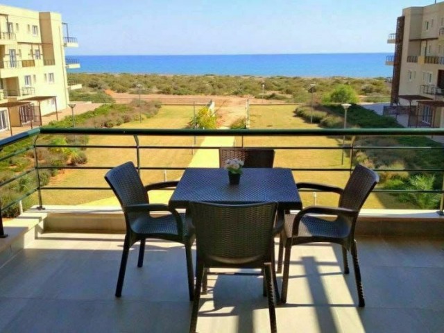 Studio apartment in Thalassa Beach resort 