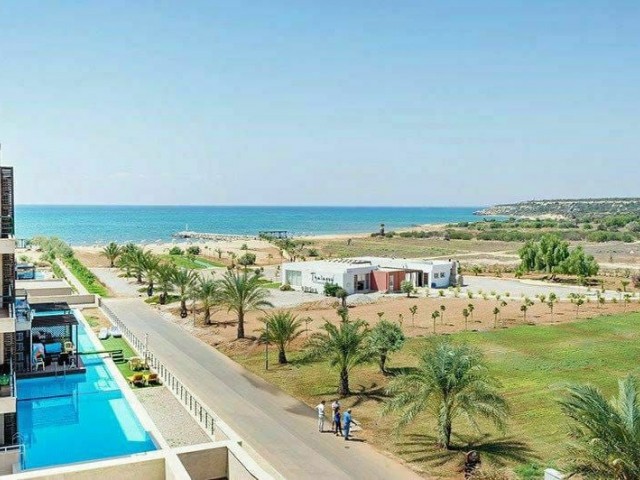 Studio-Apartment im Thalassa Beach Resort