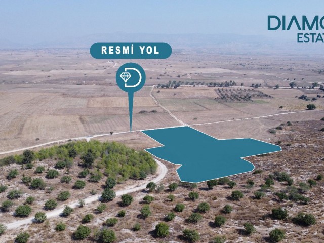 7 Decares of 3 Evlek Land for Sale in Geçitkale Region