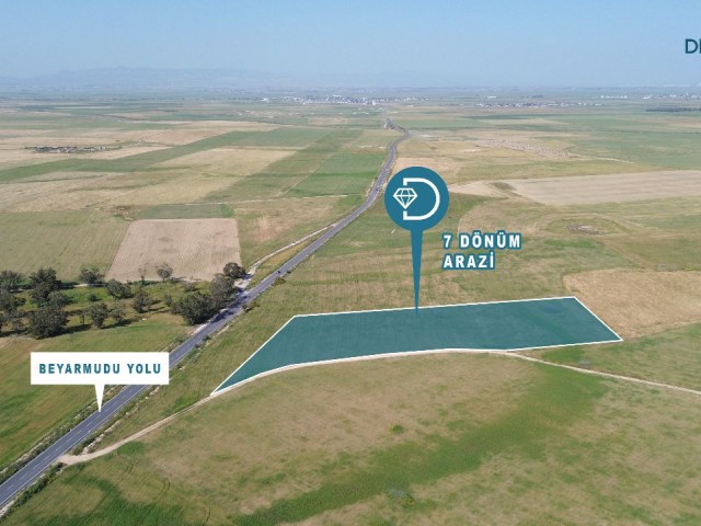 Field for Sale in Akdoğan, Türkmenköy Region