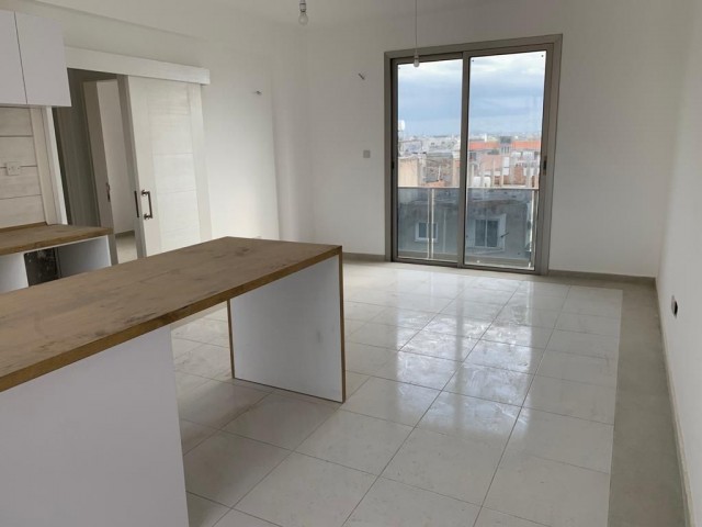 2 Bedroom Penthouse in Hamitköy