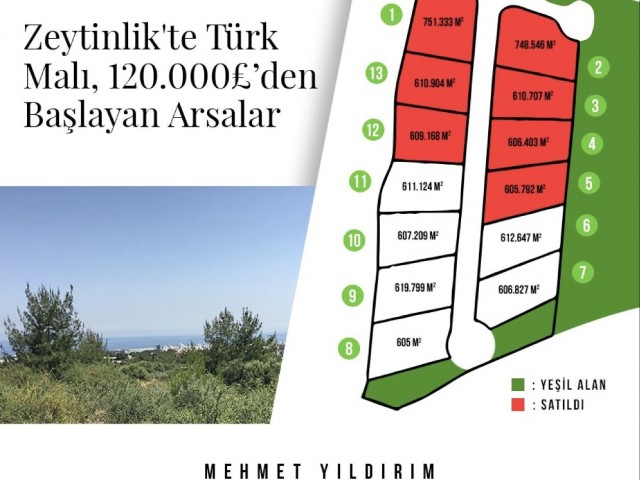 Zeytinlik'in Yeşil Eteklerinde Muhteşem Manzaraya Sahip Villalık Arsalar