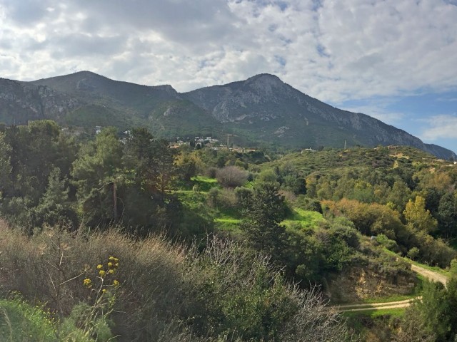 Großes Grundstück mit herrlichem Blick auf das offene Meer, die Berge, die Natur und das Kloster in der Nähe von 5 Hektar in Bellapais ** 