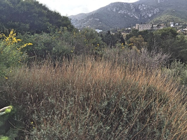 Large Land with Magnificent Views of the Open Sea, Mountains, Nature and Monasteries on Close to 5 Acres in Bellapais ** 