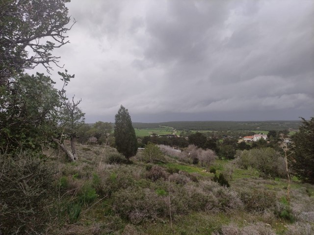 Türkisches Land mit Aussicht im Dorfentwicklungszentrum in tepebashi ** 