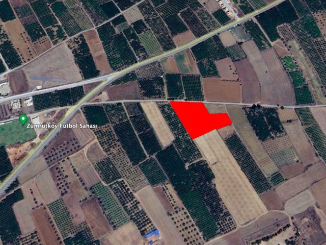 7 Decares of Land for Sale, Open to Development, Close to Güzelyurt Main Road