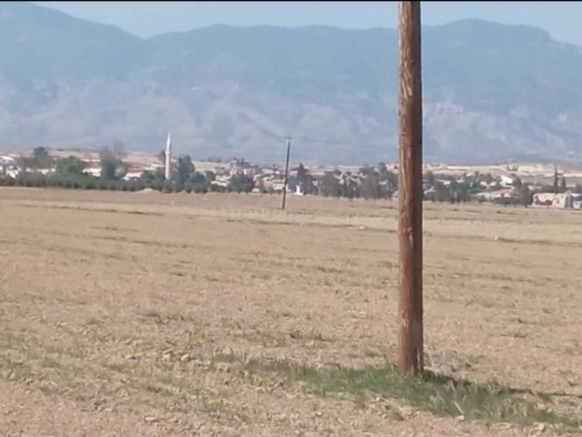 Feld Kaufen in Pınarlı, Famagusta