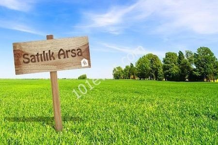 40 DECEMBER OF LAND FOR SALE IN İSKELE TURNALAR