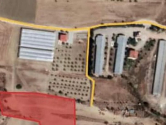 29 هکتار زمین برای فروش در GAZİ MAGUSA INCIRLI REGION