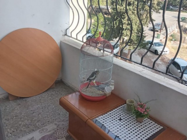 3+1 FLAT FOR SALE IN GÜZELYURT CENTER