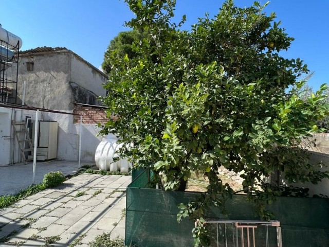 Detached House To Rent in Kızılbaş, Nicosia