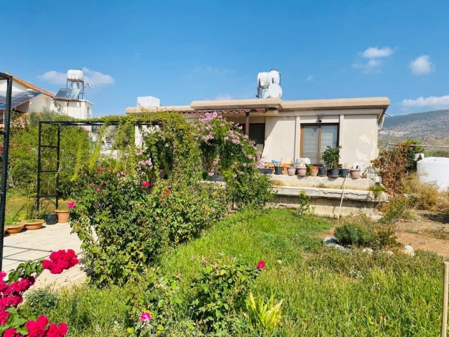 Einfamilienhaus Kaufen in Değirmenlik, Nikosia