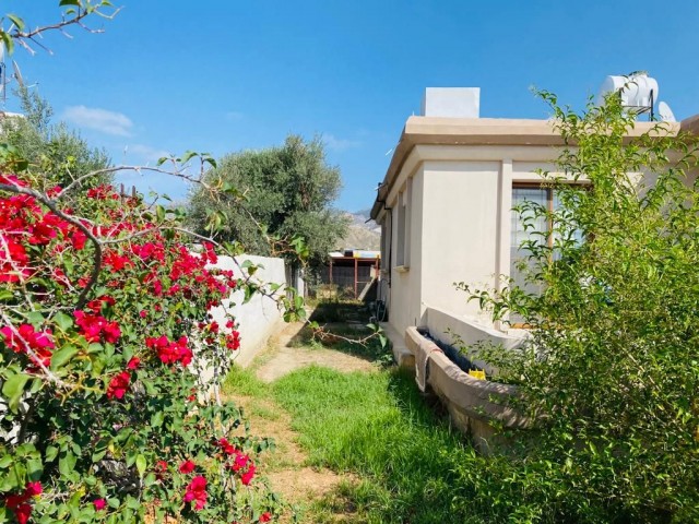 Einfamilienhaus Kaufen in Değirmenlik, Nikosia