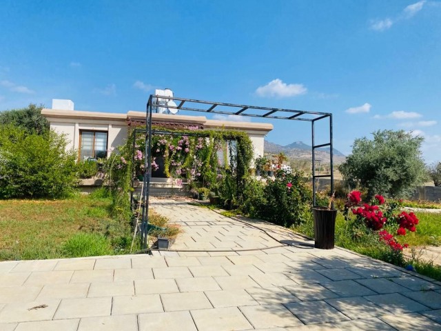 Einfamilienhaus Kaufen in Değirmenlik, Nikosia