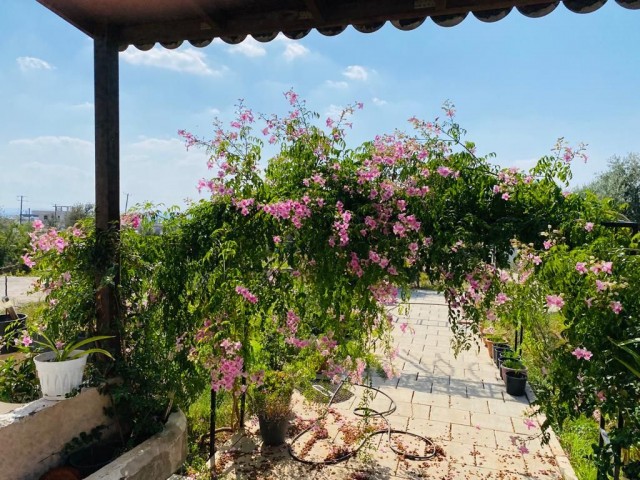 Einfamilienhaus Kaufen in Değirmenlik, Nikosia