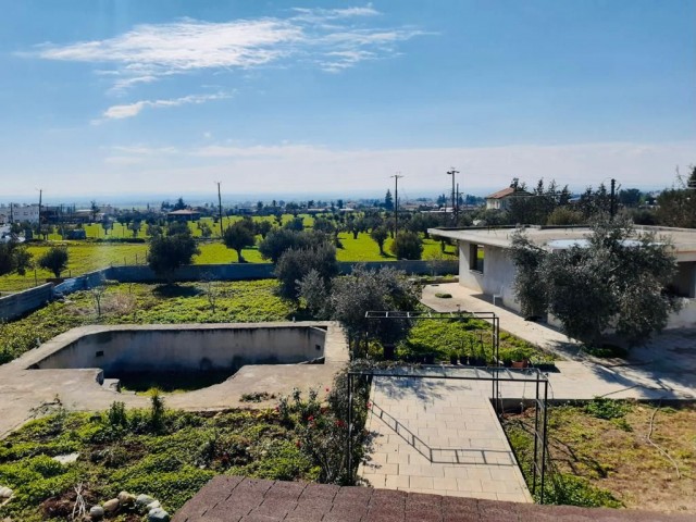 Einfamilienhaus Kaufen in Değirmenlik, Nikosia