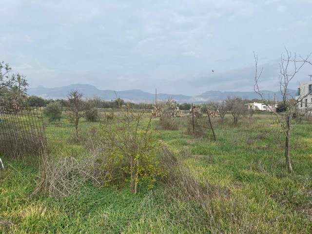 Einfamilienhaus Kaufen in Minareliköy, Nikosia