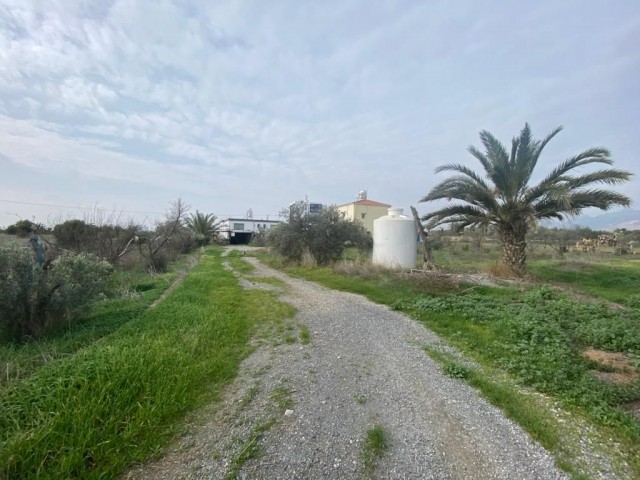 Einfamilienhaus Kaufen in Minareliköy, Nikosia