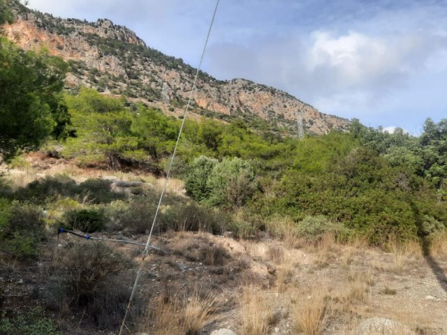 Türkisches Eigentumsland zum Verkauf in Agirdag Girne