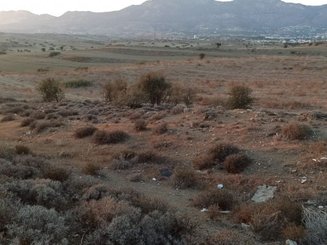 Land For Sale In Boaz, Kyrenia , 22 077 m²