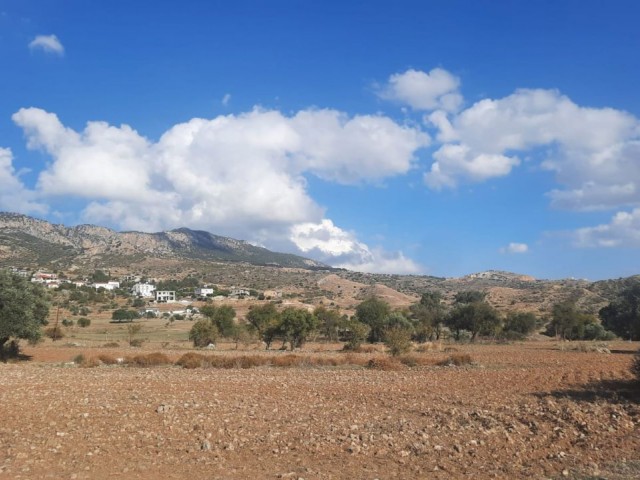 Taşkent’de  Harika  Bir  Manzaraya Sahip  Önü  Kapanmaz  Arazi