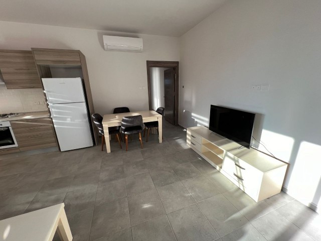 Centrally Located 2+1, 90 m² Apartments for Rent in Nicosia Dereboyu Region