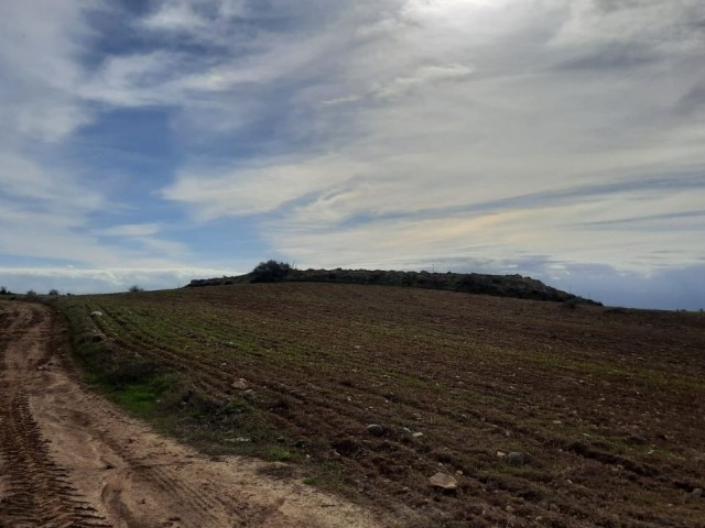 Grundstück zum Verkauf in Girne Şirinevler