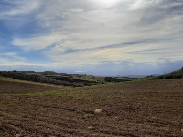 زمین برای فروش در Girne Şirinevler