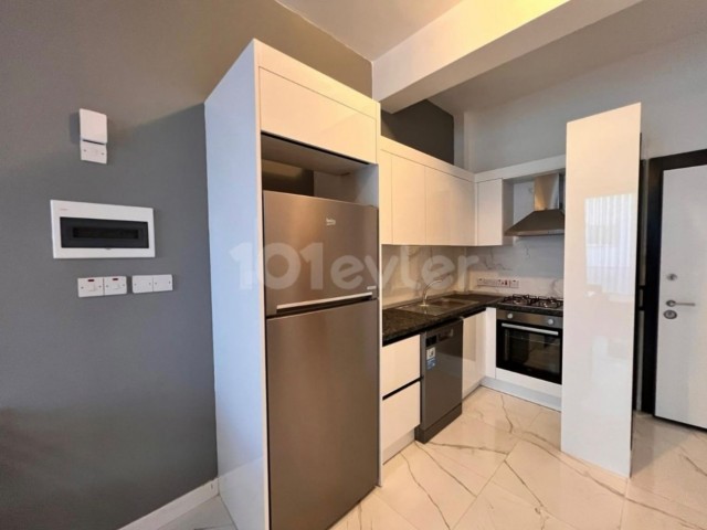 Luxury 1+1 Flats for Rent in Alsancak