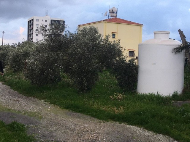 Einfamilienhaus Kaufen in Demirhan, Nikosia