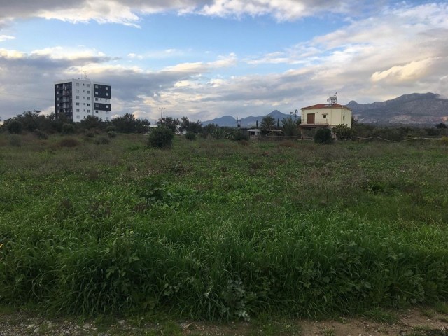 Einfamilienhaus Kaufen in Demirhan, Nikosia