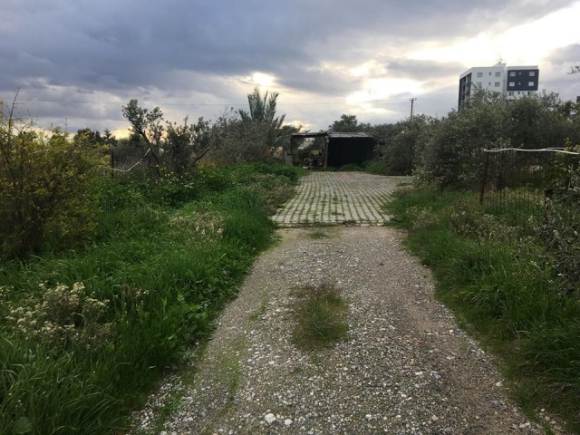 Einfamilienhaus Kaufen in Demirhan, Nikosia