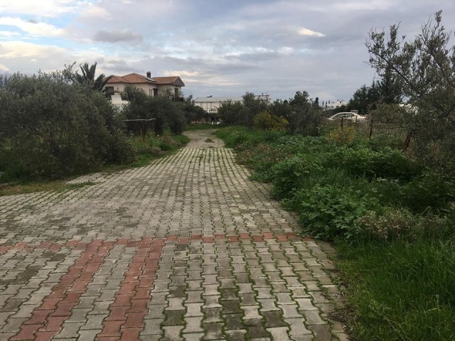 Einfamilienhaus Kaufen in Demirhan, Nikosia