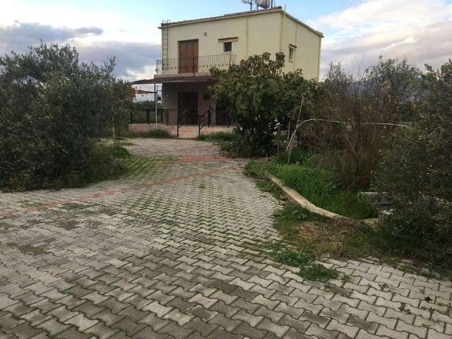 Einfamilienhaus Kaufen in Demirhan, Nikosia