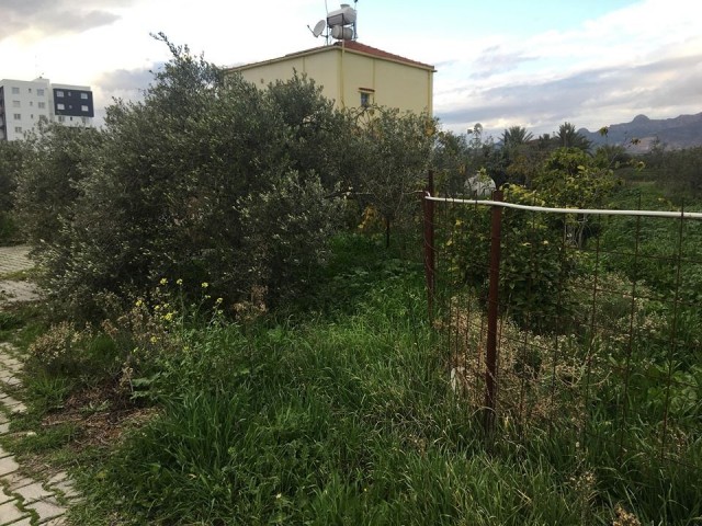 Einfamilienhaus Kaufen in Demirhan, Nikosia