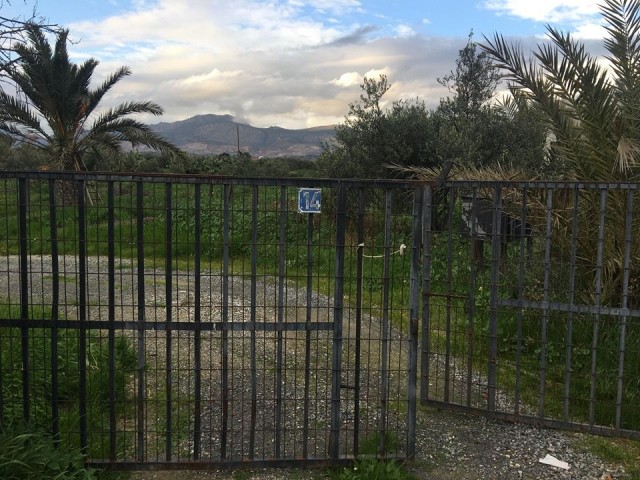 Einfamilienhaus Kaufen in Demirhan, Nikosia