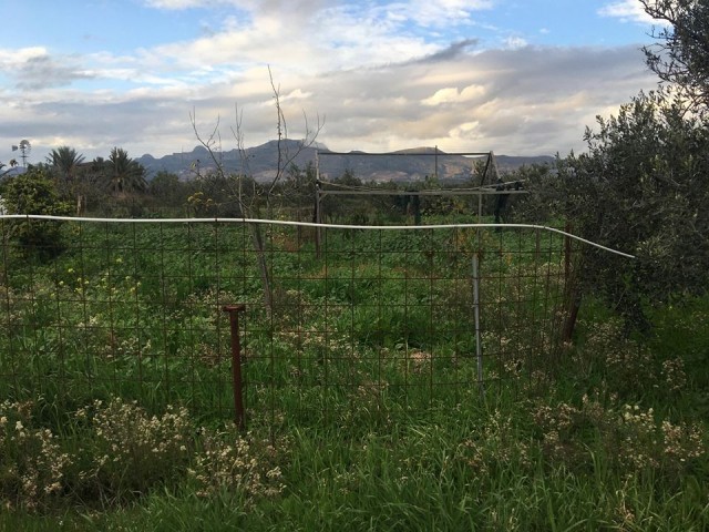 Einfamilienhaus Kaufen in Demirhan, Nikosia