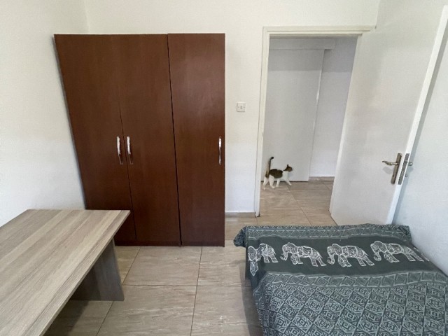 Jul 2+ 1 clean apartment for rent in Famagusta tekant region ❕ ❕ water is included in the dues price ❕ ❕ 10 months old ** 